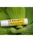 LIP BALM CITRUS &HONEY 4.5g